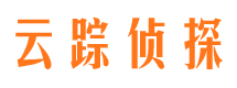 炎陵侦探公司